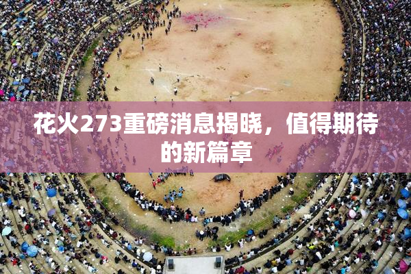 花火273重磅消息揭晓，值得期待的新篇章