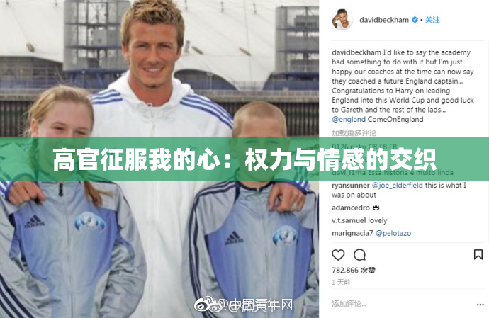 高官征服我的心：权力与情感的交织