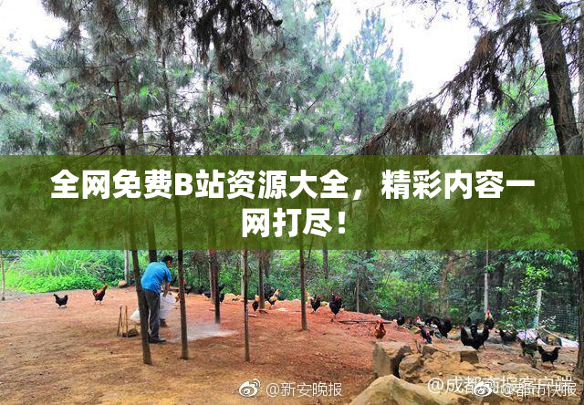 全网免费B站资源大全，精彩内容一网打尽！