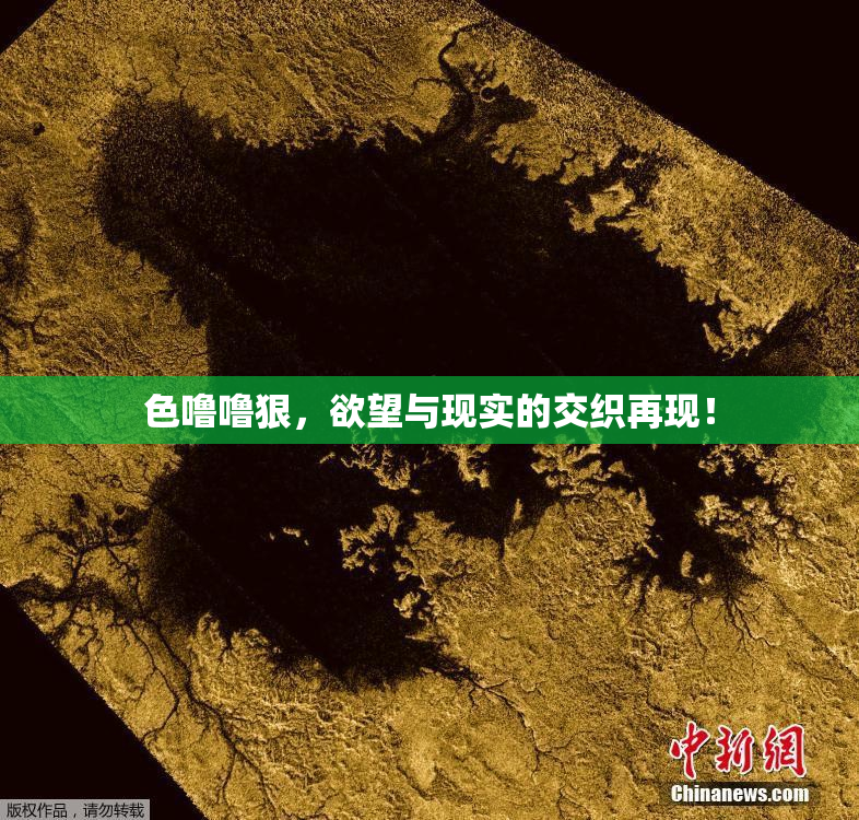 色噜噜狠，欲望与现实的交织再现！