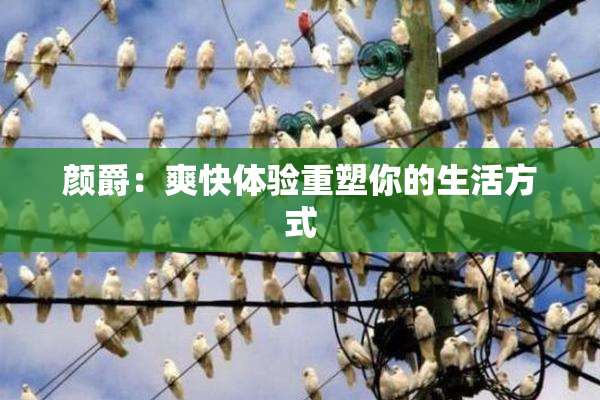 颜爵：爽快体验重塑你的生活方式
