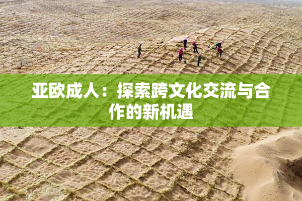 亚欧成人：探索跨文化交流与合作的新机遇