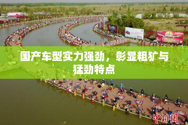 国产车型实力强劲，彰显粗犷与猛劲特点
