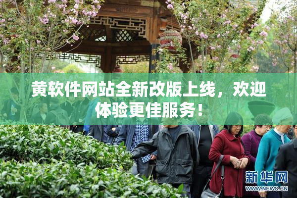 黄软件网站全新改版上线，欢迎体验更佳服务！