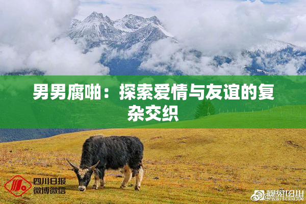 男男腐啪：探索爱情与友谊的复杂交织