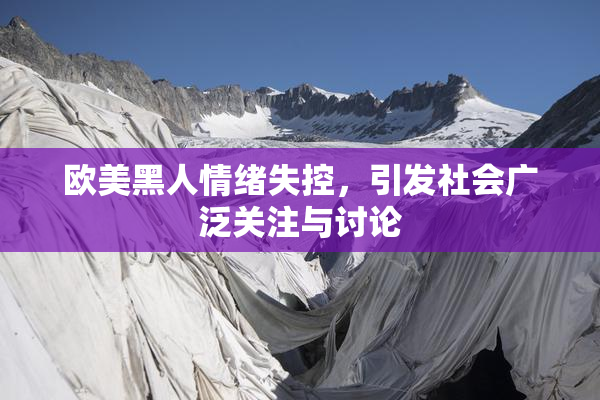 欧美黑人情绪失控，引发社会广泛关注与讨论