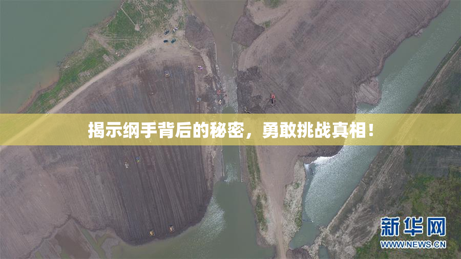 揭示纲手背后的秘密，勇敢挑战真相！