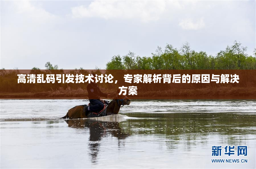 高清乱码引发技术讨论，专家解析背后的原因与解决方案
