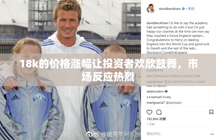 18k的价格涨幅让投资者欢欣鼓舞，市场反应热烈