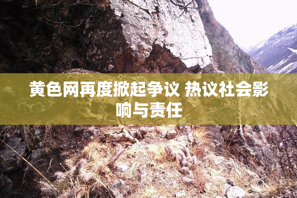 黄色网再度掀起争议 热议社会影响与责任