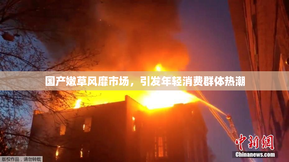 国产嫩草风靡市场，引发年轻消费群体热潮