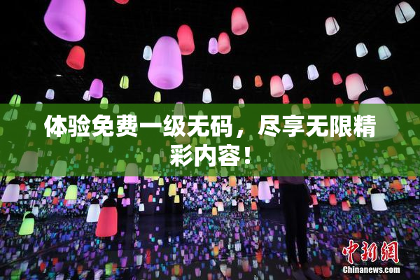体验免费一级无码，尽享无限精彩内容！