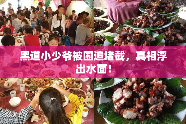 黑道小少爷被围追堵截，真相浮出水面！
