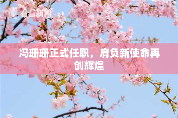冯珊珊正式任职，肩负新使命再创辉煌