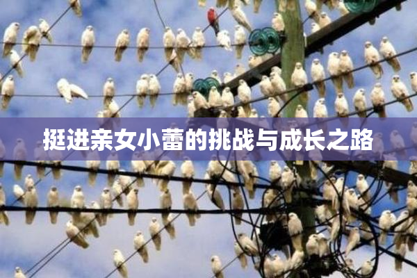 挺进亲女小蕾的挑战与成长之路