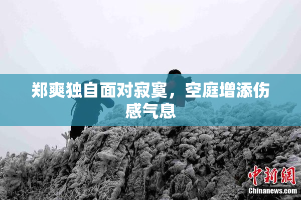 郑爽独自面对寂寞，空庭增添伤感气息