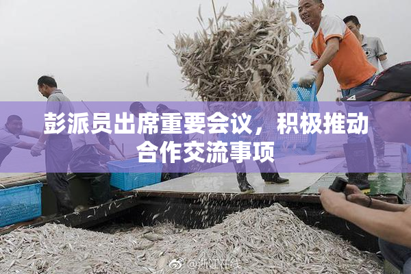彭派员出席重要会议，积极推动合作交流事项