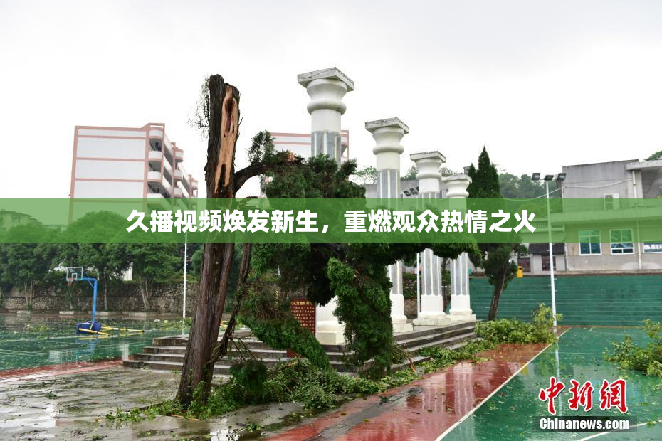 久播视频焕发新生，重燃观众热情之火