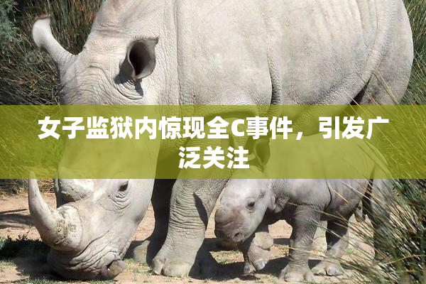 女子监狱内惊现全C事件，引发广泛关注