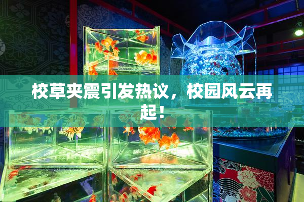 校草夹震引发热议，校园风云再起！
