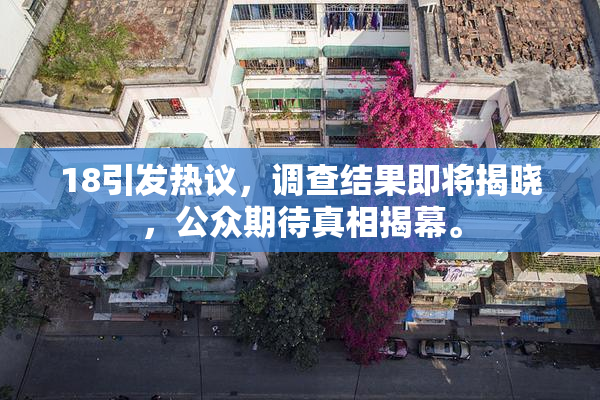 18引发热议，调查结果即将揭晓，公众期待真相揭幕。