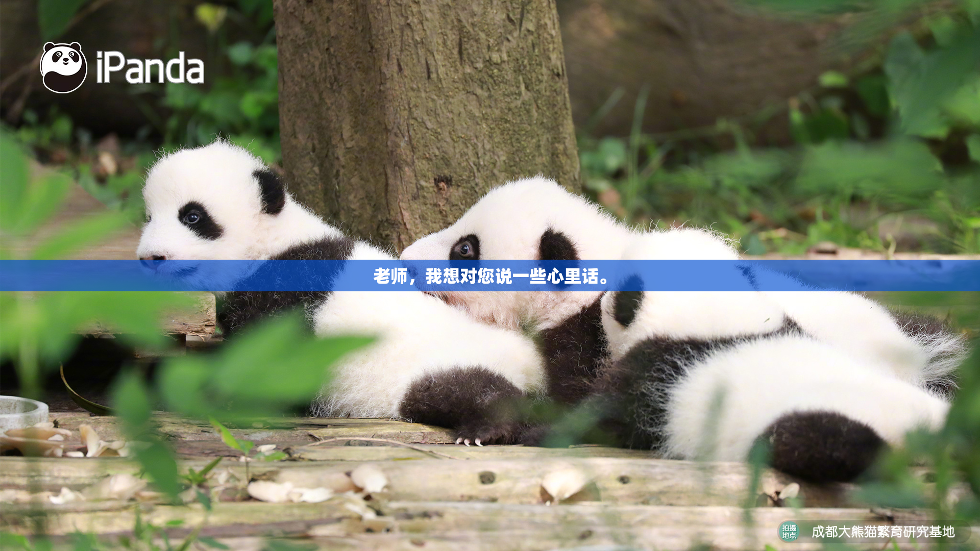 老师，我想对您说一些心里话。