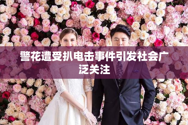 警花遭受扒电击事件引发社会广泛关注