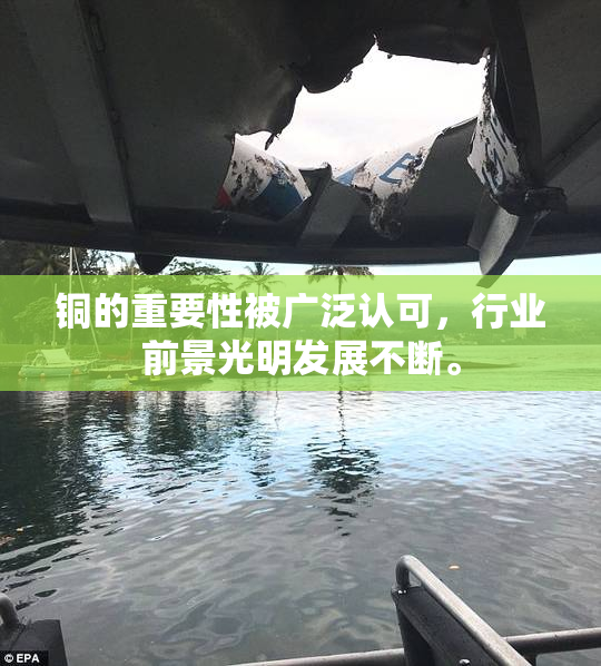 铜的重要性被广泛认可，行业前景光明发展不断。