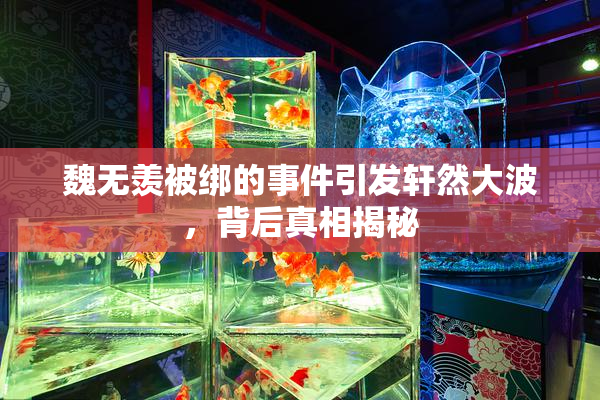 魏无羡被绑的事件引发轩然大波，背后真相揭秘