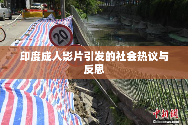 印度成人影片引发的社会热议与反思
