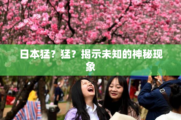 日本猛？猛？揭示未知的神秘现象