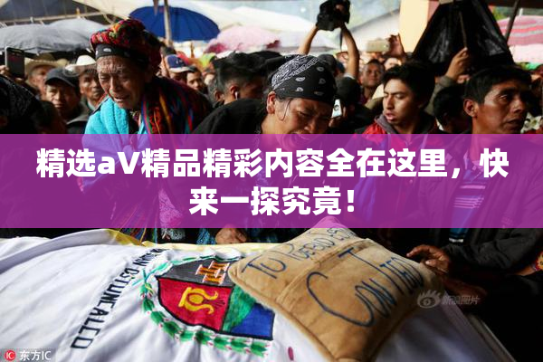 精选aV精品精彩内容全在这里，快来一探究竟！