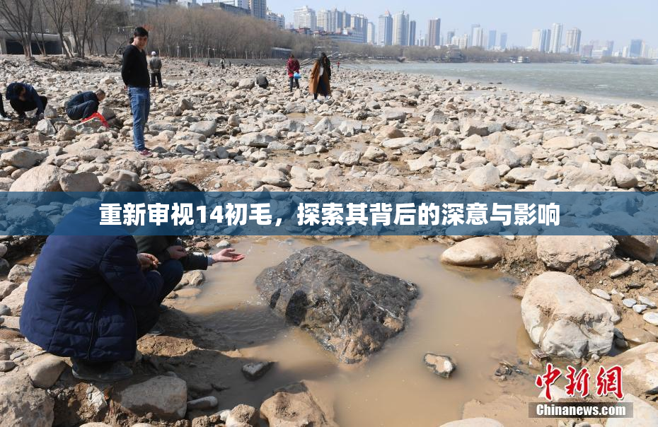重新审视14初毛，探索其背后的深意与影响