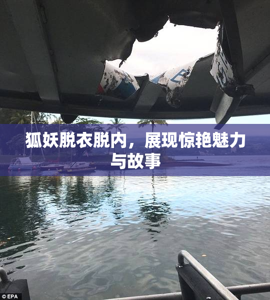 狐妖脱衣脱内，展现惊艳魅力与故事