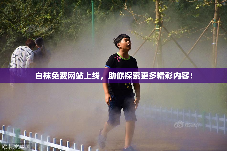 白袜免费网站上线，助你探索更多精彩内容！