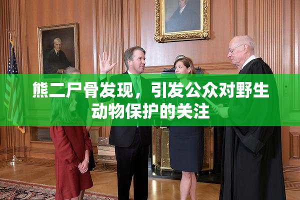 熊二尸骨发现，引发公众对野生动物保护的关注