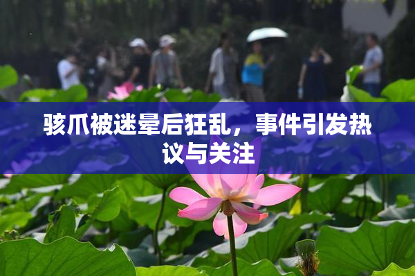 骇爪被迷晕后狂乱，事件引发热议与关注
