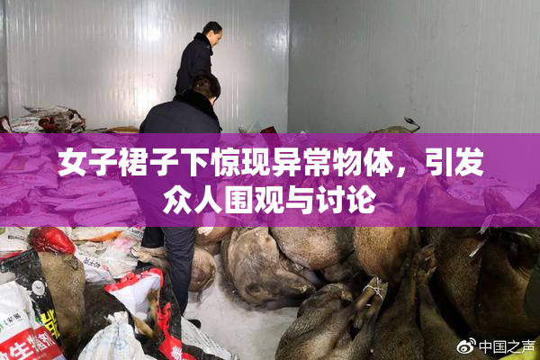 女子裙子下惊现异常物体，引发众人围观与讨论
