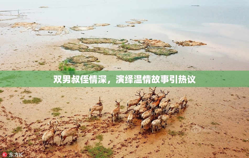 双男叔侄情深，演绎温情故事引热议