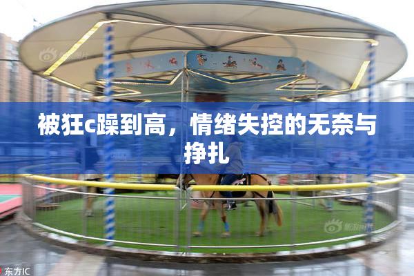 被狂c躁到高，情绪失控的无奈与挣扎