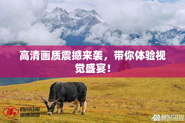高清画质震撼来袭，带你体验视觉盛宴！