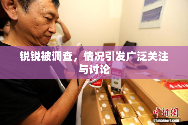 锐锐被调查，情况引发广泛关注与讨论