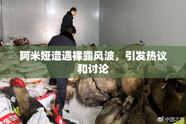 阿米娅遭遇裸露风波，引发热议和讨论