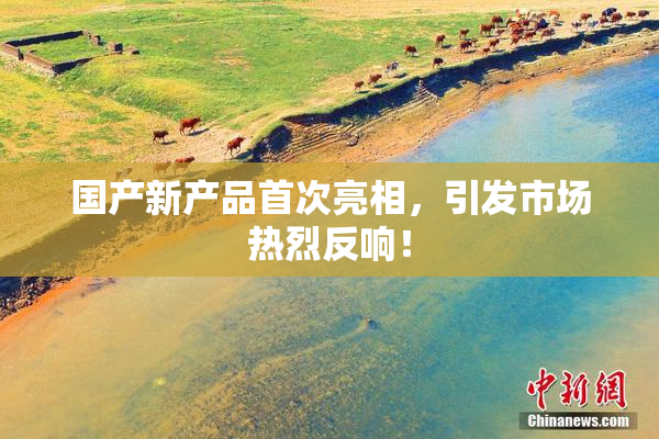 国产新产品首次亮相，引发市场热烈反响！