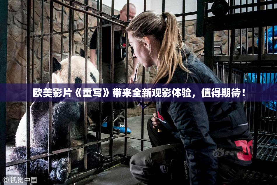 欧美影片《重写》带来全新观影体验，值得期待！