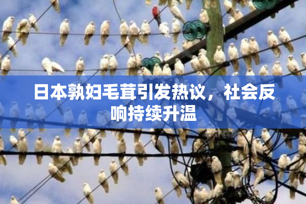 日本孰妇毛茸引发热议，社会反响持续升温