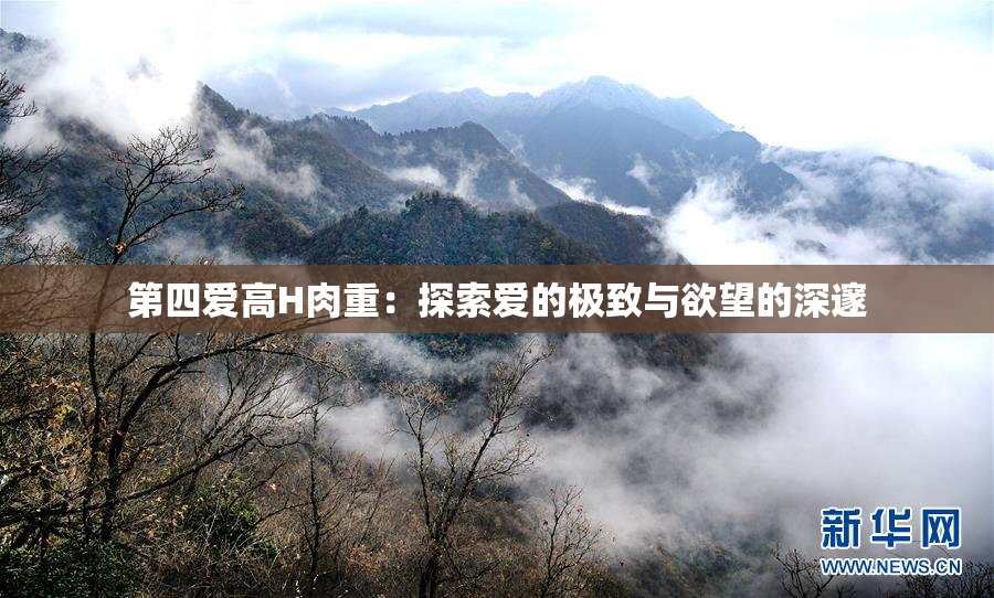 第四爱高H肉重：探索爱的极致与欲望的深邃