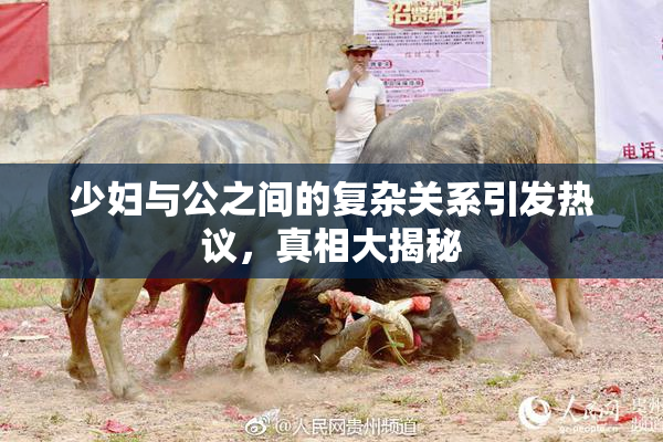 少妇与公之间的复杂关系引发热议，真相大揭秘