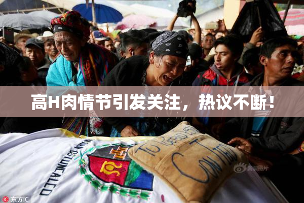 高H肉情节引发关注，热议不断！