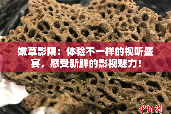 嫩草影院：体验不一样的视听盛宴，感受新鲜的影视魅力！